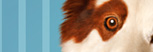 Dog with a Blog Character