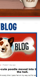 Stan's Blog