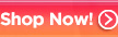 Shop Now Button