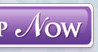 Shop Now Button