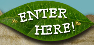Enter Here Button