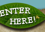 Enter Here Button