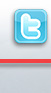 Twitter Icon