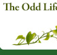 The Odd Life of