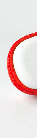Mickey Stylus Image