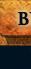 Build Now! Button